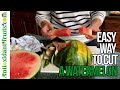 🍉 Best Way of How to Cut a Watermelon 🍉  Watermelon Hack