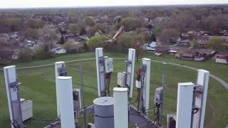 Hawk Attacks Drone!