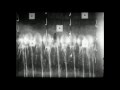 Capture de la vidéo Porto Morto: Uspavanka / René Clair: Entr'acte (1924)