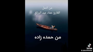 من النمل /القارئ عماد عبد الرزاق