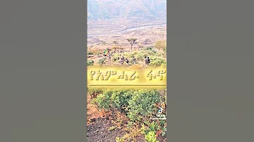 ምርጥ የፋኖ ሙዚቃ Best Fano Music 