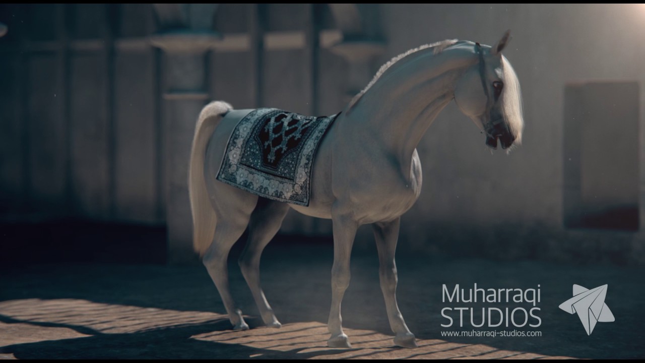 Arabian Horse 3D Animation lightwave - YouTube
