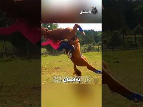 مردم در اشتباه هستن