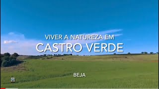 Natureza em Castro Verde - Beja