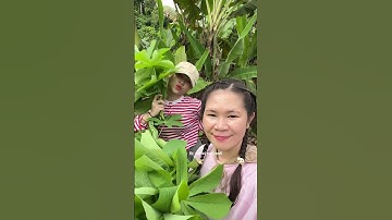 Thumbnail of part. continuation of cooking special Dayak food on the farm