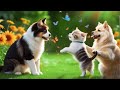 Cute baby animals  exploring the world of fun lucky cute animals with nature sound and relaxing