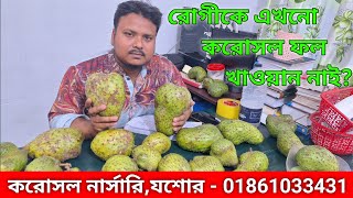 রোগীকে এখনো করোসল ফল খাওয়ান নাই...?01861033431 ফল সংগ্রহ করুন করোসল নার্সারি,যশোর #Soursop #করোসলফল