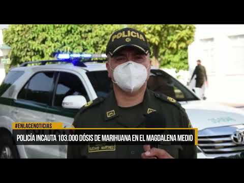 Policía incauta 103.000 dosis de marihuana en el magdalena medio