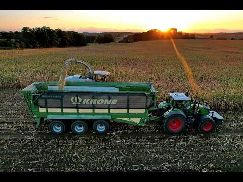 🌽Maishäckseln für Biogas • Claas Jaguar 980 & Xerion 5000 • 7x Abfahrer • 850Ha Mais 🌽
