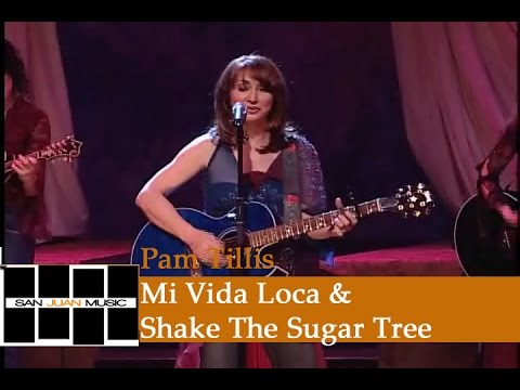 Pam Tillis Mi Vida Loca Shake The Sugar Tree Youtube