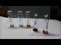 Video Image