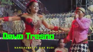 Nandasari duet Cak Budi live sidoarjo - Dewo Tresno