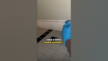 Let’s Find And Test For Hidden Mold