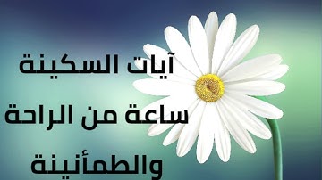 راحة نفسية طمأنينة و سكينة/ايات السكينة لدفع القلق و الخوف و الهموم القارئ سعود الفايز