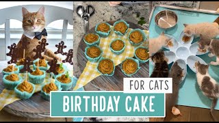 Birthday Cake for Kitties and Pups