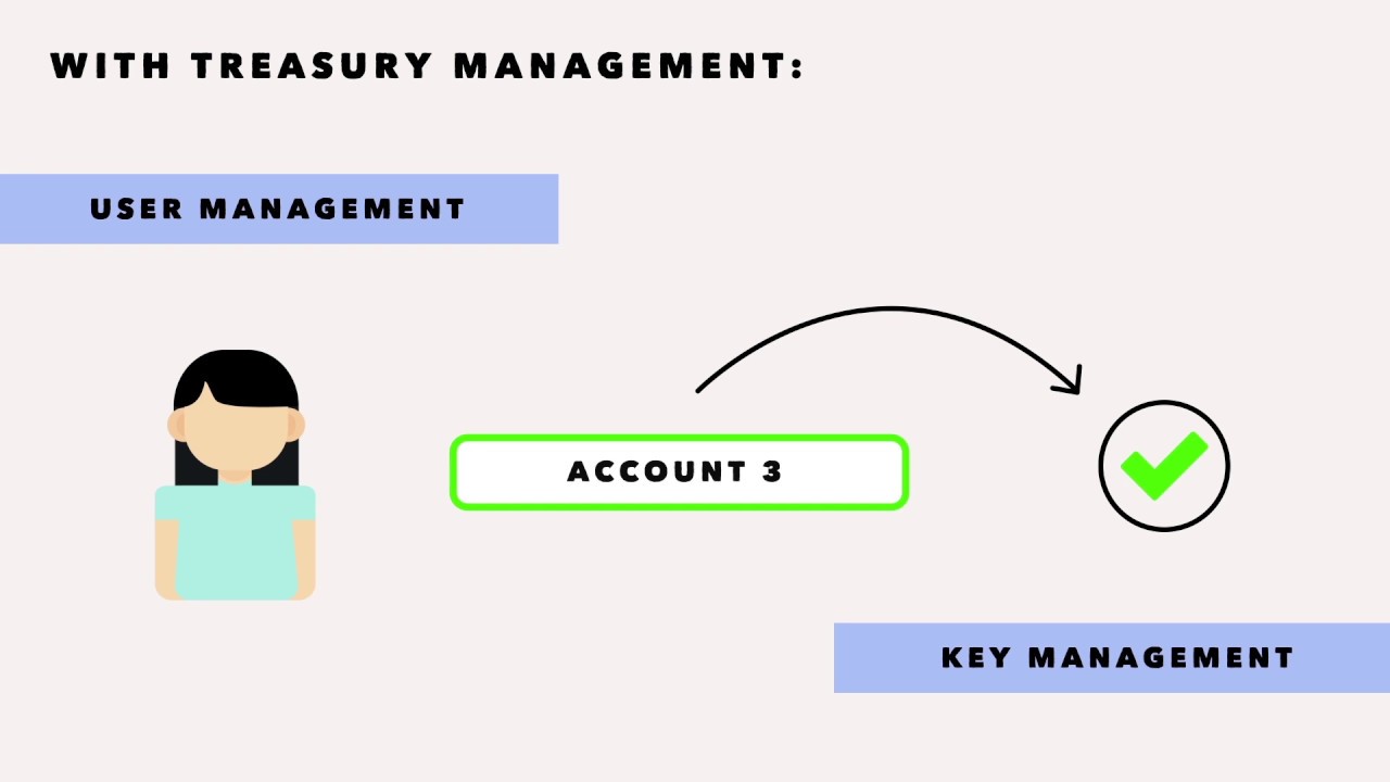 Bitcoin Video - Treasury Management