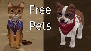 Secret Free Pet Quest in Star Stable