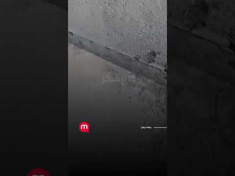 سرقت از بهشت زهرا