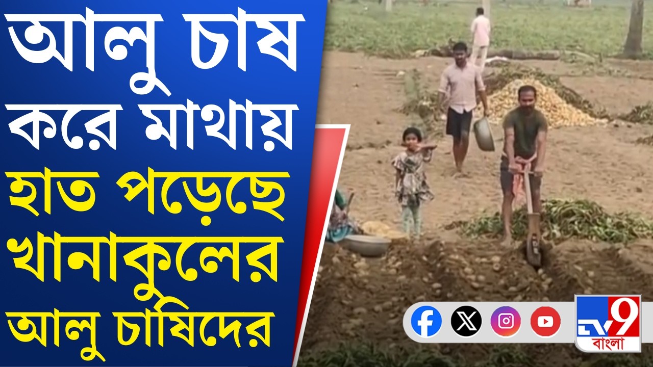Arambagh News, Potato Farming: ফড়েদের হাতযশে ৪ টাকার আলু বিক্রি হচ্ছে ১৮ টাকায়, বিপাকে আলু চাষিরা