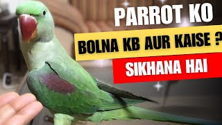 Parrot Ko Bolna Kaise Sikhaein || How To Train Parrot To Talk #parrottraining #parrottalking
