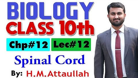 Spinal cord  | Chapter # 12 | Biology Class 10th | Lec.# 12