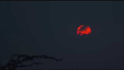 ما أجملها تلاوه تُرقق القلوب | خالد الجهيم