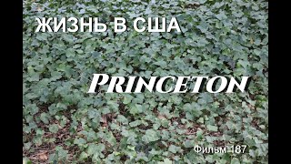 Жизнь В Сша Princeton Фильм 187