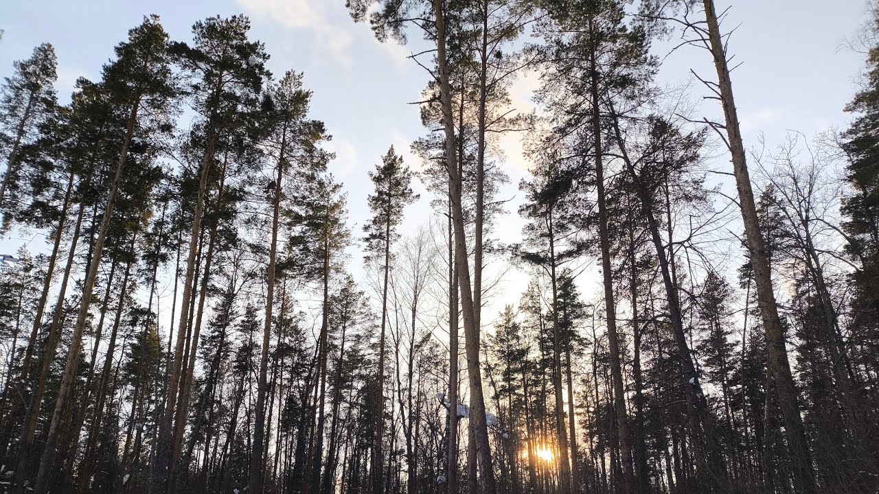 Пенза. Засурье. Тропа здоровья Ахуны. Родник на кардоне студёном 