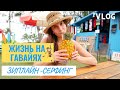 ЖИЗНЬ НА ГАВАЙЯХ | САМОЕ ИЗВЕСТНОЕ МЕСТО ДЛЯ СЕРФА🏄🏻‍♀️ |КАТАЕМСЯ НА ЗИПЛАЙН😣