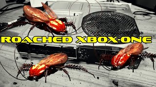 My Xbox one is bugged!