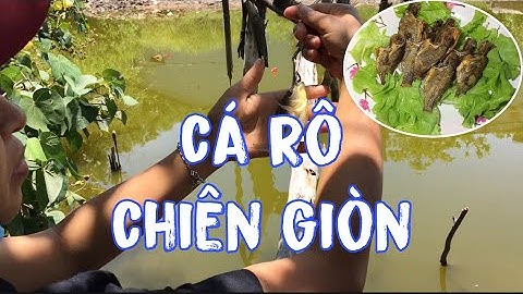 #1 Câu cá Rô,làm cá Rô chiên giòn | CHI