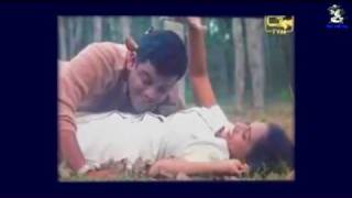 Sina Pipena Wasanthaye - Lakshaman Wijesekara Samitha Erandathi - YouTube