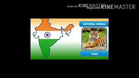 MLZS JHANSI CLASS 1 GK Unit 1 This is my India  Lecture 1