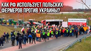 Есть ли кремлевский след в польских протестах по поводу украинского зерна?