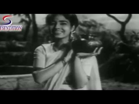 Koi Kehde Papiha Se Ja Ke Lyrics in Hindi Barati