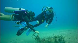 Collaborative underwater clean up at Roda Reef