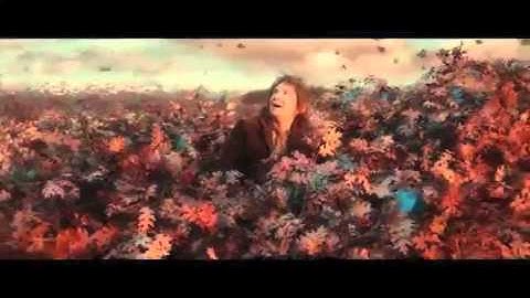 The Misty Mountains Cold Music Video - The Hobbit