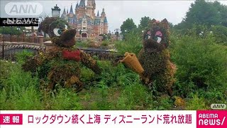 上海ロックダウン2カ月　「夢の国」が・・・ディズニーランドが荒れ放題(2022年5月28日)