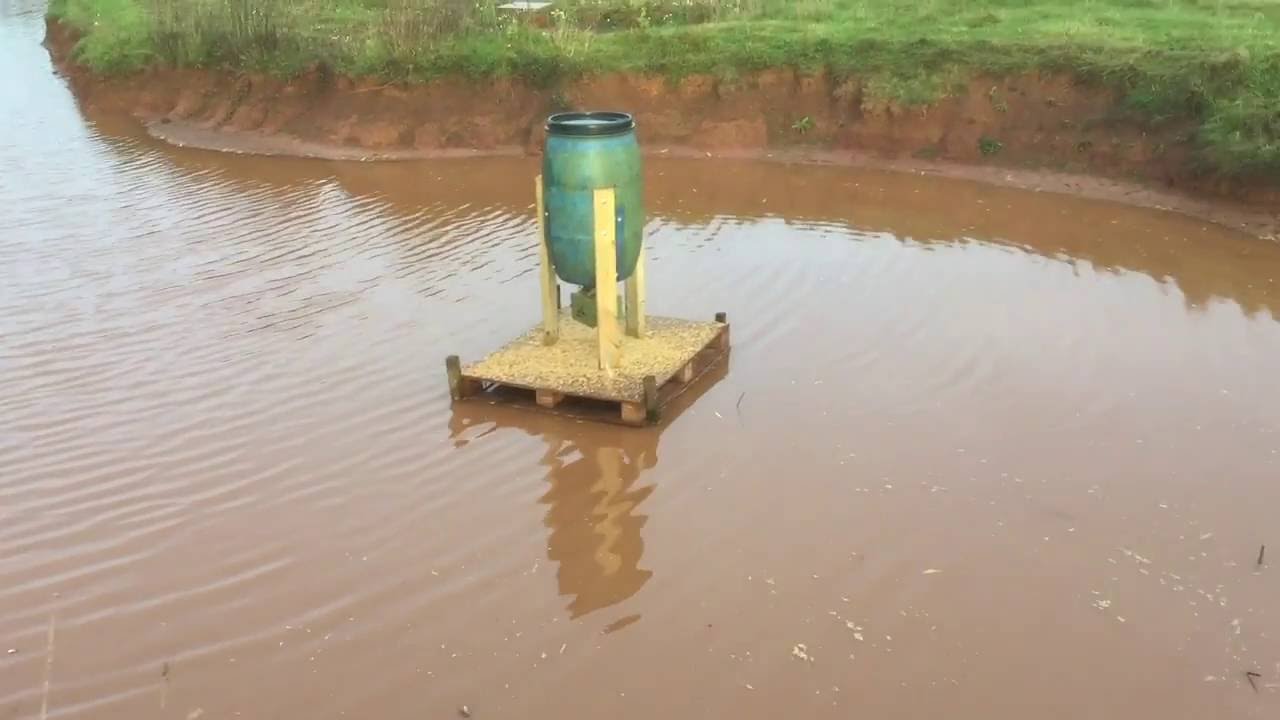 automatic pheasant feeder