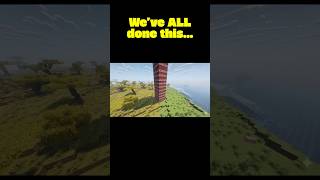 We’ve ALL done this…  #minecraft