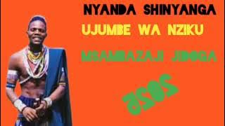 NYANDA SHINYANGA UJUMBE WA NZIKU MSAMBAZAJI JIDOGA -2025