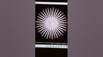 Amazing Rotating Python Graphics Design using Turtle #pythonshorts#coding#python#viral#design#share