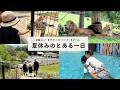 【夏休み】姫センが楽しすぎた！サファリ＆プールで子どもたち大満足の一日☀︎