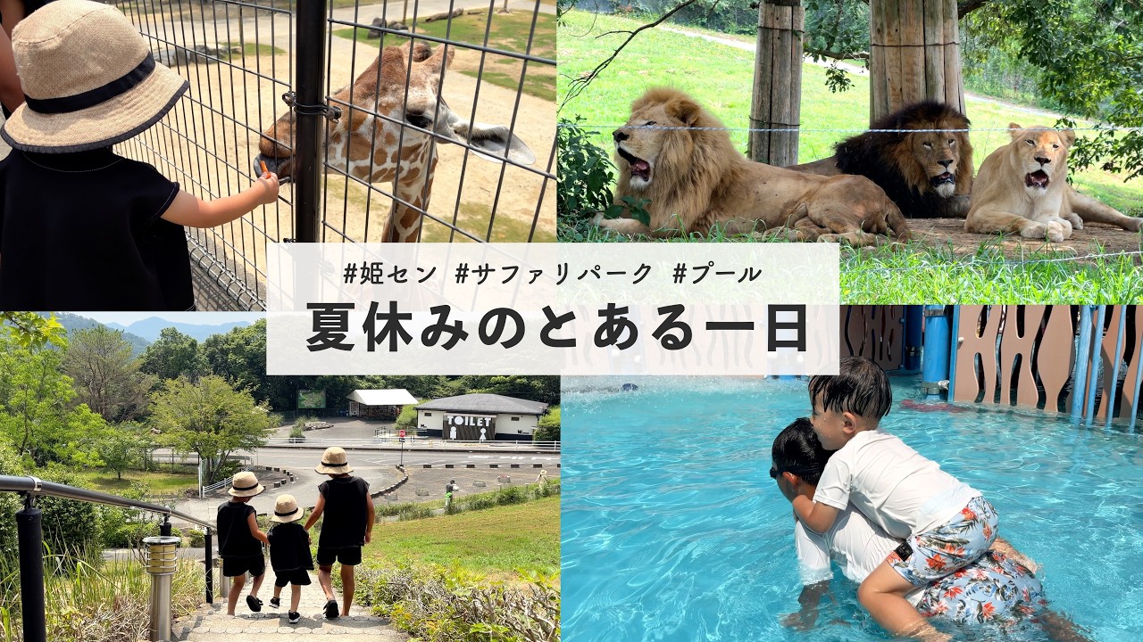 【夏休み】姫センが楽しすぎた！サファリ＆プールで子どもたち大満足の一日☀︎