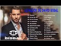 David Bisbal Mix Exitos 2023 - Grandes Exitos De David Bisbal - Canciones de David Bisbal