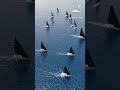 🎥 CI Assoluto d’Altura Edison Next 2025 | Day 4