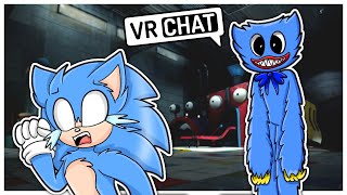 Movie Sonic Meets Huggy Wuggy In VR CHAT!