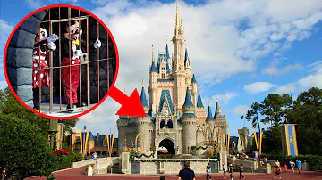 ¿Cómo llama Disney a sus visitantes?