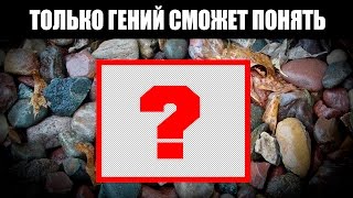 9 ФОТО КОТОРЫЕ ПРОВЕРЯТ ТВОЙ ИНТЕЛЛЕКТ И СМЕКАЛКУ!