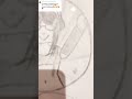 #musica #sescreve #art #desenho #shotsviral